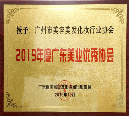 2019年度广东美业优秀协会
