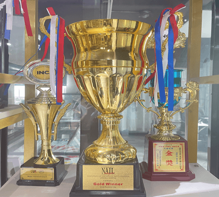 美甲奖项